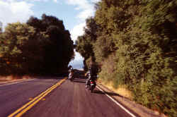 endoftrail.jpg (118186 bytes)