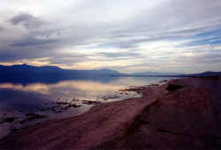 salton.jpg (93337 bytes)