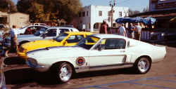 shelby.jpg (87354 bytes)